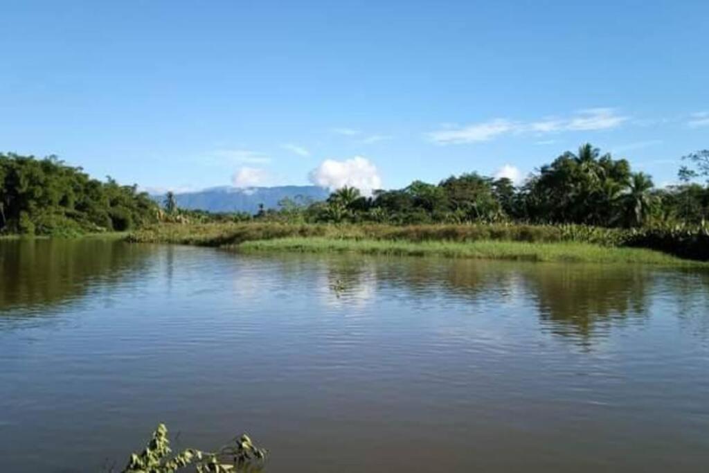 Casa Flor De Annia ~ Cozy 2 Bdrm On The River Sierpe ~ Walkable To Town Βίλα Εξωτερικό φωτογραφία