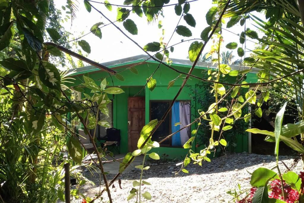 Casa Flor De Annia ~ Cozy 2 Bdrm On The River Sierpe ~ Walkable To Town Βίλα Εξωτερικό φωτογραφία