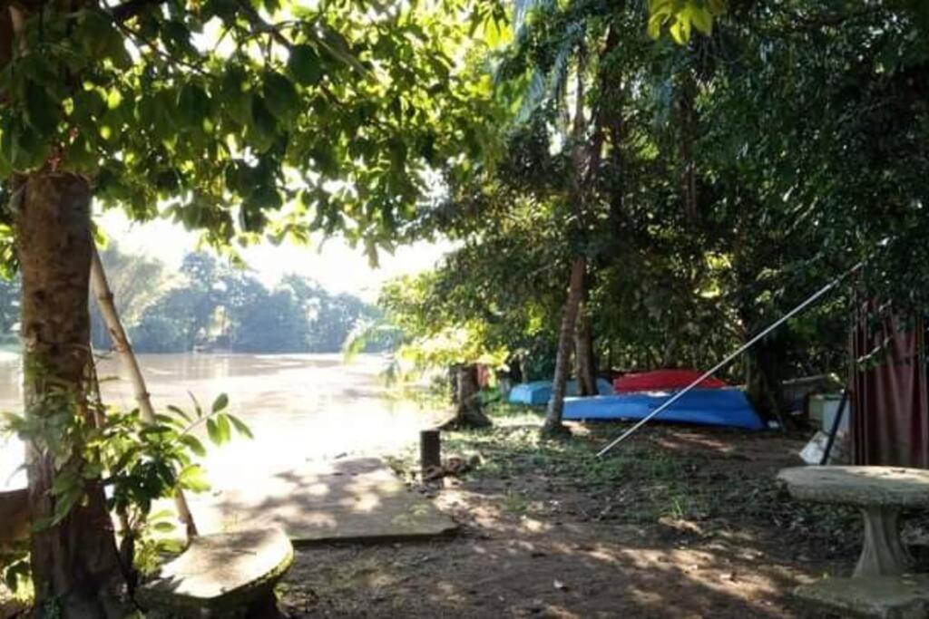 Casa Flor De Annia ~ Cozy 2 Bdrm On The River Sierpe ~ Walkable To Town Βίλα Εξωτερικό φωτογραφία